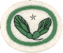 Semillas II